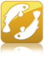 41.png
